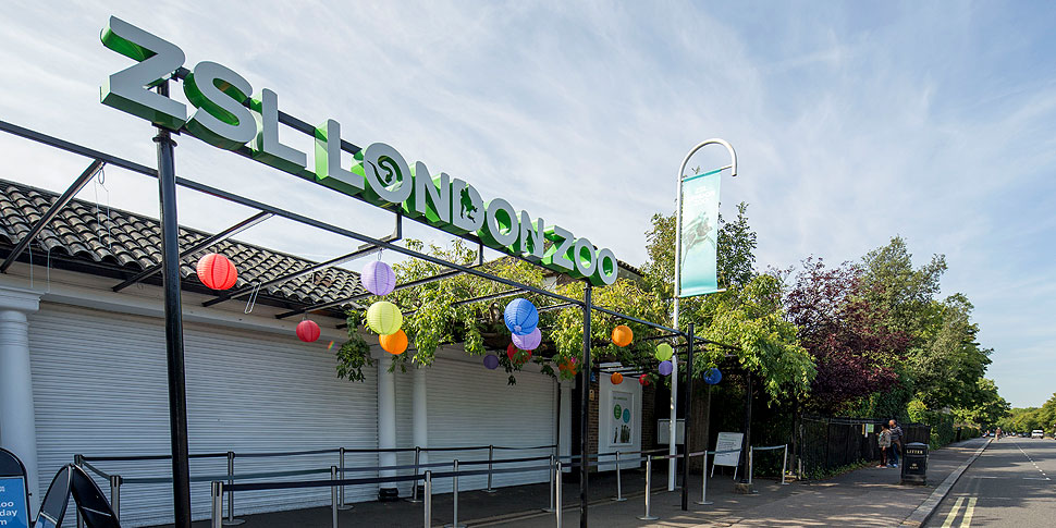 Visitor enclosure and pathway at London Zoo